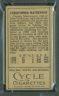1911 T205 #124 Christy Mathewson (a): All Cycle Backs - 1908 stats incorrect